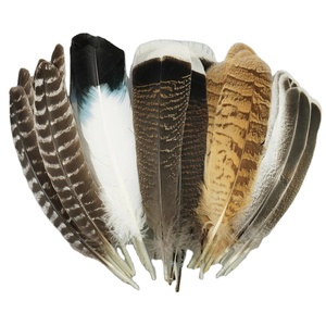 10Pcs/Bag Natural <strong>Eagle</strong> <strong>Feathers</strong> for Crafts Plume Headdress Accessories Holiday Decoration Carnival <strong>Feather</strong> DIY Handicraft Decor - Product Image 1