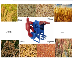 Trilladora Multifuncional Modelo PFSN 40 de Venta Directa de Fábrica para Arroz Trigo Soja Cebada Colza Sorgo 220V/380V de Montaje en Piso - Product Image 3