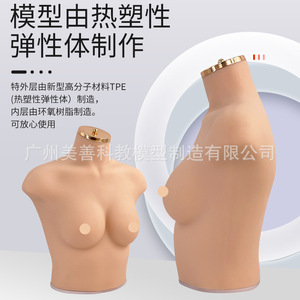 Accessoires pour vitrines de lingerie et soutiens-gorge et pour la photographie : Mannequin féminin en silicone souple et réaliste, demi-corps, poitrine 75B/C - Product Image 1