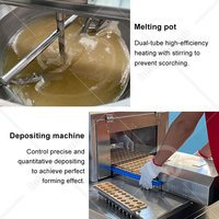 Machine à bonbons gélifiés OCEAN, machine à gelée, petite ligne de production de bonbons à base d'amidon
