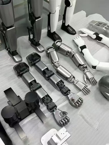 Servizio di Stampa 3D PEEK ad Alta Temperatura, Parti di Motori Robotici Professionali, Alta Precisione, Piccoli Lotti, Personalizzazione Rapida - Product Image 2