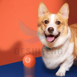 Yeni elektrikli akıllı interaktif Tpr köpek kovalamaca oyuncak top otomatik aktif haddeleme topu küçük köpekler için - Product Image 2