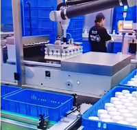 Mesin Pengemas Karton dan Botol, Robot Kolaboratif Pick and Place, Mesin Pemasang Karton, Mesin Pemuat Peti, Mesin Palletizer
