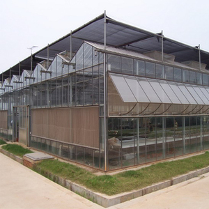 Système de serre hydroponique en verre intelligent pour <span class=keywords><strong>tomates</strong></span>, laitues, fraises, fleurs, agriculture en serre, ensemble complet de serre - Product Image 3