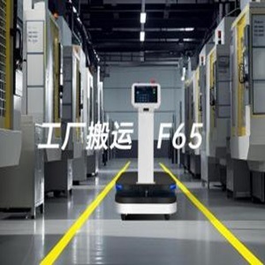 Robot Logístico Inteligente AGV con Capacidad de Carga de 300 kg, Navegación Láser y Alimentación por Batería - Product Image 4