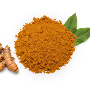 Exportateur de poudre de curcuma en vrac d'Inde - Product Image 1