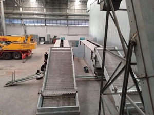 Séchoir à bande transporteuse continue mécanique <span class=keywords><strong>pour</strong></span> copeaux de noix de coco et de manioc, avec bande en maille, <span class=keywords><strong>pour</strong></span> l'alimentation animale - Product Image 6