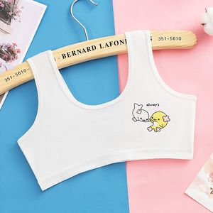 Modèles explosifs pas d'anneau en acier été dessin animé soutien-gorge imprimé pour adolescent soutiens-gorge de formation pour jeunes filles filles soutiens-gorge puberté - Product Image 4