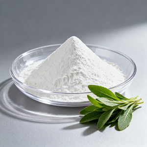 Bột chiết xuất <span class=keywords><strong>Stevia</strong></span> hữu cơ tự nhiên giá sỉ nhà sản xuất - Chất làm ngọt <span class=keywords><strong>Stevia</strong></span> <span class=keywords><strong>Reb</strong></span>-<span class=keywords><strong>A</strong></span> - <span class=keywords><strong>Stevia</strong></span> RA98% - Product Image 1