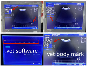 Ecografia Farb <span class=keywords><strong>doppler</strong></span> SUN-906B Tierarzt Ultraschall Tragbare Instrumente Tiere Ultraschall gerät - Product Image 3