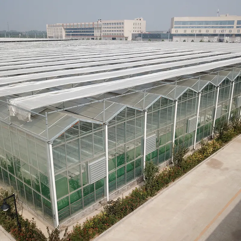 Vendi serra serra di vetro serra agricola verde