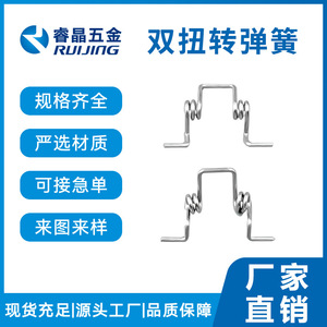 Ruijing Double ressort de torsion en acier inoxydable 1-100gf pour pièces de verrouillage de voiture - Product Image 2