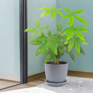 Maceta de plantación de plástico decorativa gruesa de tamaños <span class=keywords><strong>grandes</strong></span> moderna para interiores y exteriores, maceta para jardín, fábrica al por mayor, barata - Product Image 3