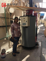 Generador de Vapor Automático Vertical de Alta Eficiencia, a Gas, para Uso Industrial, Hogar, Restaurantes y Esterilización