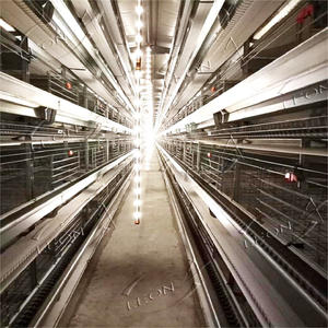 Jaulas para Gallinas Ponedoras Tipo H Galvanizadas, Nuevo Diseño, Gran Venta, para Granjas Avícolas - Product Image 3