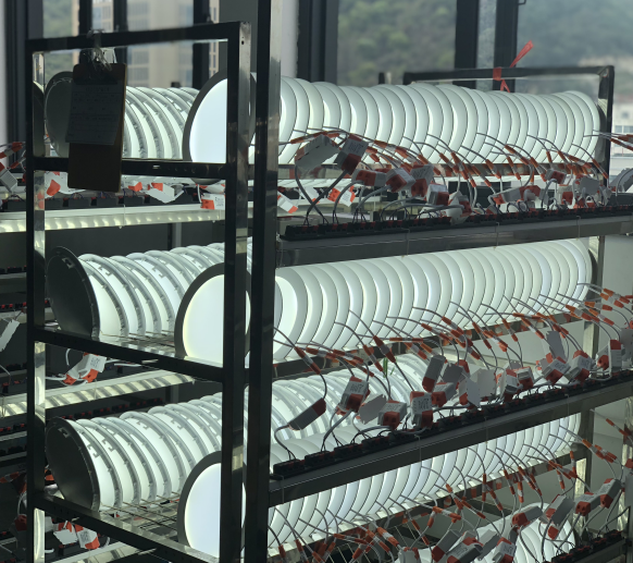 led recessed panel down light 6 inch 12w wifi app voice control alexa google home 5cct 3000k 6500k rgb smart slim