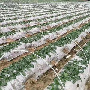 Fiberglass Garden Stakes, Wholesale for Greenhouse Plant Support, Frost Protection and Bird Deterrent - Product Image 6