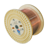 Filmumwickelte Massive Flache Isolierte Wickeldrähte Aluminium/Kupfer-Leiter 220V Industriestrom für Transformatoren