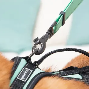 New Fashion Multi-colors Nylon Reflective Dog Leash And Harness Training Lead