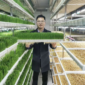 Cultivo de Forraje en un Contenedor Hidropónico Interior, Sistema de Forraje Vertical Hidropónico, Equipo de Contenedores <span class=keywords><strong>para</strong></span> Alimentación de <span class=keywords><strong>Ganado</strong></span> - Product Image 1