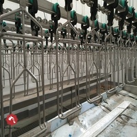 Machine à presser automatique pour poulet pouces, équipement d'abattage pour volaille à la maison