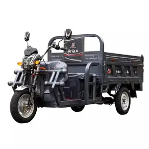 Trike elektrik 60v 1500w elektrikli taşıyıcı kargo yetişkinler için özelleştirilmiş 3 tekerlekler elektrikli Scooter 2 koltuk Eec açık