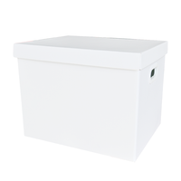 Boîte de rangement rigide personnalisée de haute qualité, recyclable, grande capacité, pour le stockage de fichiers, le déménagement, le stockage, avec couvercle, bronzage, pour la maison