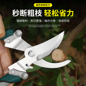 Tijeras de podar de acero inoxidable de 20.5 cm con mango verde, tijeras de podar manuales para ramas de árboles de jardín, para recortar de 10-20 mm - Product Image 3