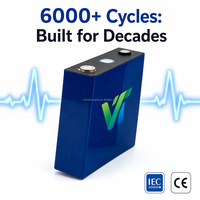 بطارية VOLTRA ليثيوم فوسفات الحديد 3.2 فولت 314 أمبير ساعة، 6000+ دورة شحن عميقة، طراز V-001 لمشاريع الطاقة على نطاق واسع، احترافية للشركات (B2B)