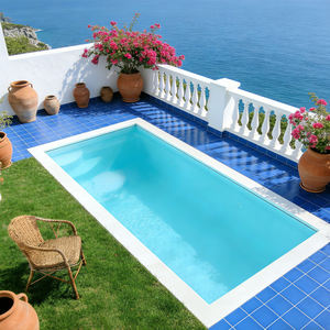 Piscine conteneur avec terrasse, piscine transparente, piscine de 20 pieds, piscine pour chien, piscine de glace, piscine - Product Image 1