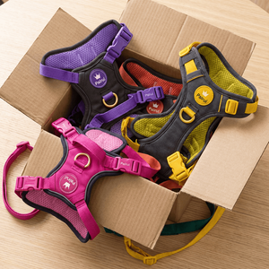 Arnés de Seguridad <span class=keywords><strong>para</strong></span> Perro, Diseño Lindo y Cálido, Tejido Jacquard, Conjunto con Babero, Chaleco <span class=keywords><strong>para</strong></span> Perro con Corbatín y Porta Bolsas <span class=keywords><strong>para</strong></span> Excrementos - Product Image 4