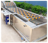 Hoge Efficiëntie Energiebesparende Mango Bubbel Wasmachine Bubble Wasmachine Reinigingsmachine Voor Groothandel