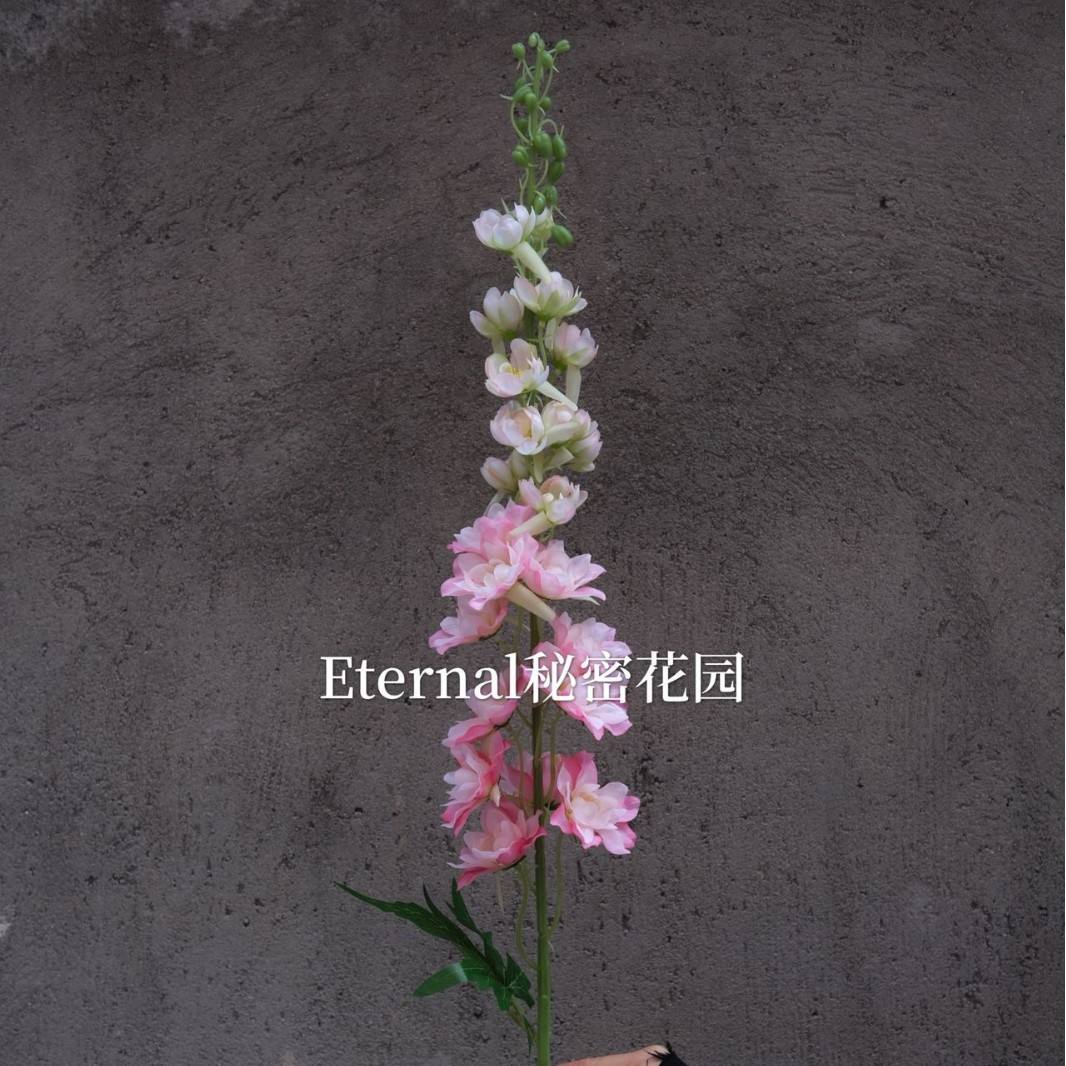 ซินเฟยยาน