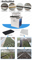 Semis de semences pneumatiques pour légumes Prix de la machine de semis de pépinière semi-automatique au Kenya