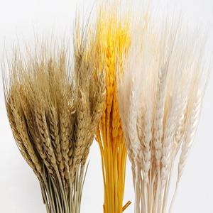 Haute qualité fleur naturelle séchée <span class=keywords><strong>orge</strong></span> fleur <span class=keywords><strong>blé</strong></span> <span class=keywords><strong>d</strong></span>écoration Bouquet Arrangement séché oreille <span class=keywords><strong>de</strong></span> <span class=keywords><strong>blé</strong></span> - Product Image 2