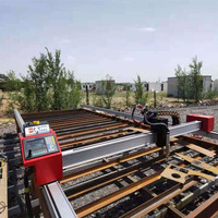 Découpeuse légère de plasma de flamme de coupeur de CNC de portique fabriquée en Chine découpeuse de plasma à double entraînement de portique
