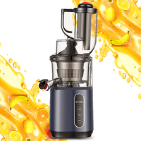 Beste Multifunctionele Slimme Commerciële Elektrische Kauwpers Sapcentrifuge Langzaam Fruit Blender Koude Pers Machine Hele Afzuigkap Huishoudelijk