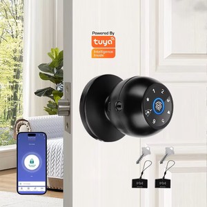 Cerradura Inteligente para Puerta Interior Tuya, Biométrica, con Huella Dactilar BLE, Cilindro de Llave, Perilla de Aleación de Aluminio, Conectividad WiFi, Contraseña, Tarjeta de Memoria - Product Image 1