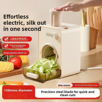 Coupe-légumes électrique automatique, commande par bouton, lames en acier inoxydable, boîtier en plastique, 60W, multifonctionnel pour la maison