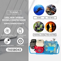 Compresseur d'air portable TUXING OEM 3.5CFM 100LPM haute pression 4500psi 300bar à essence pour sports nautiques et plongée sous-marine PCP