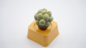 Crème glacée en forme de succulente, saveur fruitée, nouvelle arrivée, certifiée Halal, durée de conservation de 18 mois, en boîte – Meilleure vente - Product Image 2