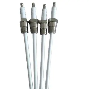 Alumina Ceramic Electrode Ignition Needle Ignition Electrode