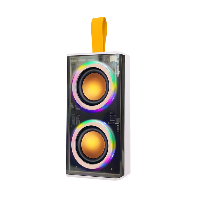 Mini BT Speakers with RGB LED Lighting Transparent Visualizable Design and Plastic Cabinet