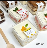 Grande Boîte à Tiramisu en Plastique Acrylique, Récipient Transparent pour Gâteaux, Tiramisus et Desserts à la Gelée