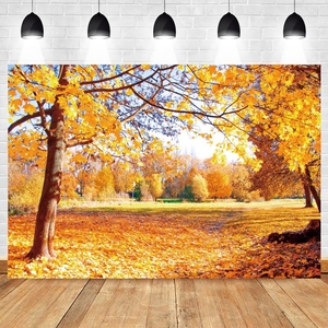 Sonbahar çiftlik ahır depo zemin Backdrop kabak sepeti saman bebek portre fotoğrafçılığı arka fotoğraf fotoğraf stüdyosu - Product Image 4
