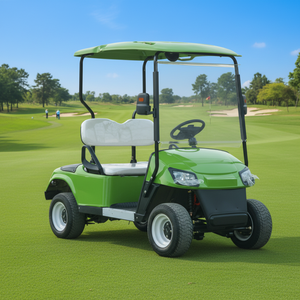 Aanpasbare kleur 2-persoons <span class=keywords><strong>mini</strong></span>-buggy, stille elektrische golfkar, kleine draaicirkel voor recreatiedoordrukte gebieden - Product Image 1