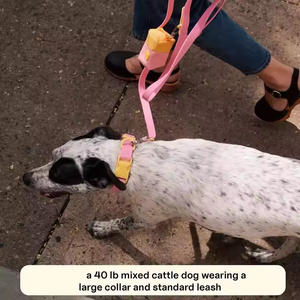 Collier pour chien en PVC biodégradable, autres produits pour animaux de compagnie, <span class=keywords><strong>OEM</strong></span>, faible quantité de départ - Product Image 3