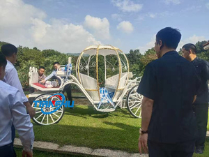 Grandiosa cenerentola carrozza trainata da cavalli regale visite all'aria aperta pratica principessa Buggy - Product Image 3