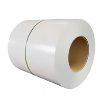 Dx51D Prepainted PPGI/PPGL PE HDP 25/7 Gulungan Baja Berlapis Cat - Dilapisi Paduan Seng-Aluminium-Magnesium