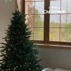 ต้นคริสต์มาสประดิษฐ์สั่งทำพิเศษระดับไฮเอนด์ สำหรับ<span class=keywords><strong>ตก</strong></span>แต่งบ้าน ต้นใหญ่ ไม่มีของประดับ <span class=keywords><strong>ตก</strong></span>แต่งสไตล์อินเทรนด์ ยอดนิยมในโซเชียลมีเดีย - Product Image 4